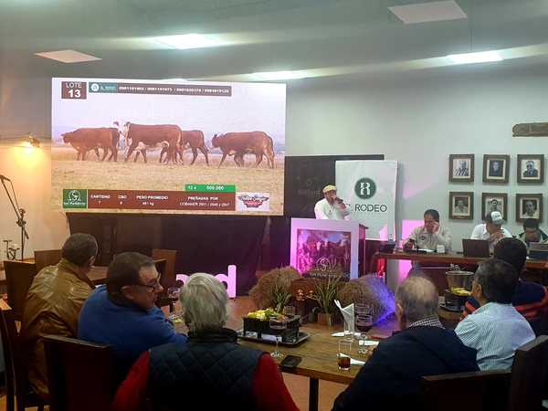 El Rodeo vendió el 100% de las vaquillas de San Florencio a Gs. 6,6 millones de promedio