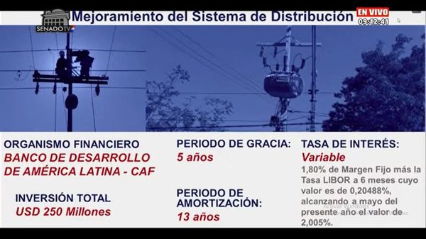 Senadores piden al titular ANDE informes sobre préstamos anteriores al de la CAF, por US$ 250 millones - Nacionales - ABC Color