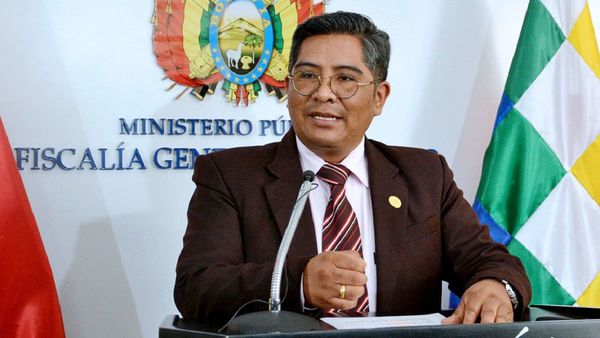 En Bolivia reiteran cierre del caso "fraude" y critican informe de OEA