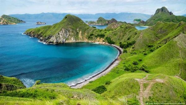 Indonesia sigue adelante con la construcción de Jurassic Park pese a las advertencias