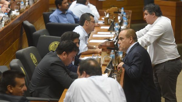 Diputados trata proyecto de emergencia por feminicidios