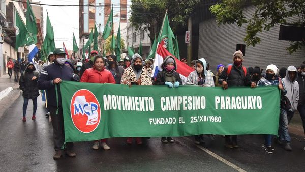 MAG dice que ya no tiene dinero para nuevas entregas a labriegos