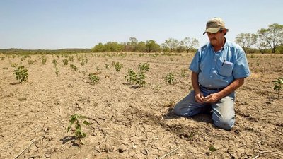 Cambio climático: crece la preocupación en Chile por una sequía sin precedentes | Ñanduti