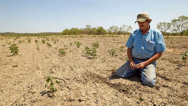 Cambio climático: crece la preocupación en Chile por una sequía sin precedentes | Ñanduti