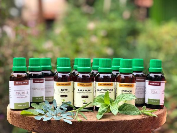 Tinturas madre: el secreto oculto de las plantas medicinales - Estilo de vida - ABC Color