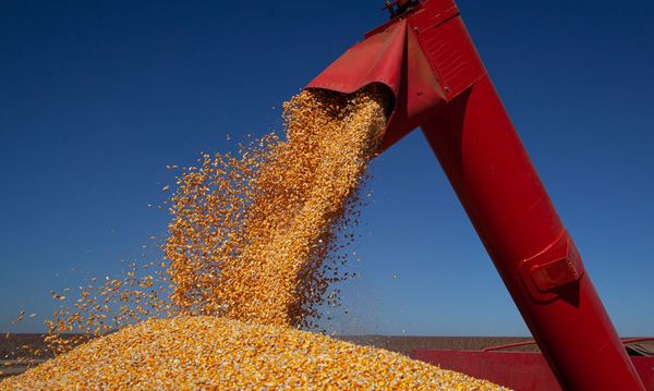 Brasil recogerá una cosecha récord en 2021, pese a revisión a la baja