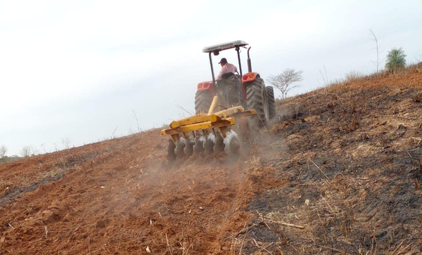 Pequeños productores de Carayaó reciben asistencia - Noticiero Paraguay