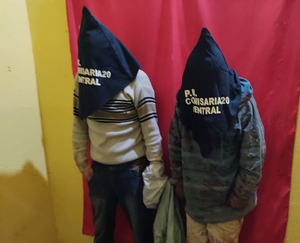Reducen a golpes a dos delincuentes en J. Augusto Saldívar - Nacionales - ABC Color
