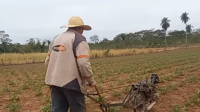 Agricultor fabrica "motoarado" para usar en la chacra