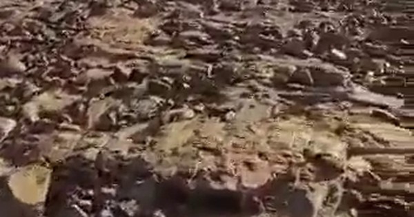 La Nación / Viral: cruzan el lecho del río Paraná a pie
