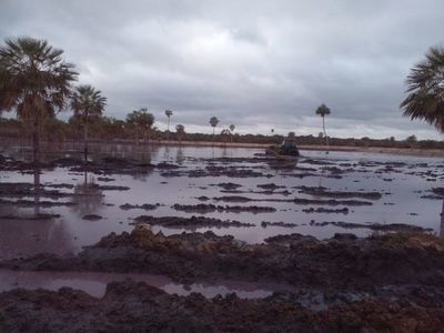 Fiscalía y Mades inspeccionan empresa ante sospecha de posible contaminación del lago Ypoá  - Nacionales - ABC Color