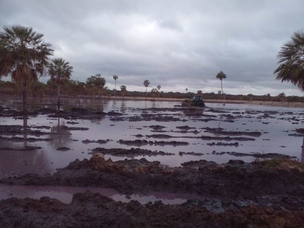 Fiscalía y Mades inspeccionan empresa ante sospecha de posible contaminación del lago Ypoá - Nacionales - ABC Color
