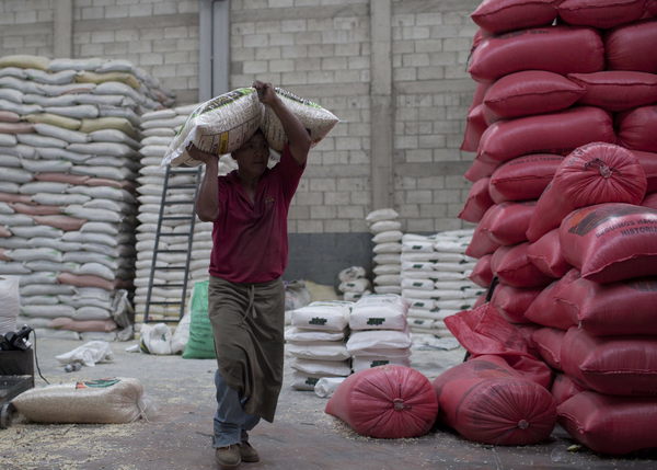 Los exportadores guatemaltecos esperan un crecimiento del 13 % en las ventas de 2021 - MarketData