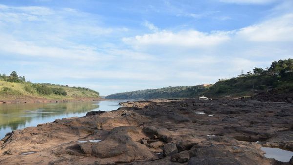 Rechazan adelantar veda y prohibir la extracción de dorado y surubí