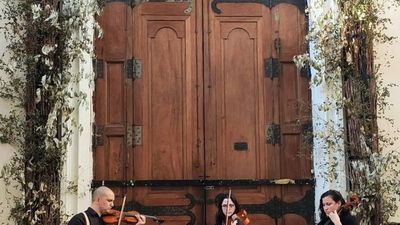 Conciertos virtuales  de música latinoamericana a cargo de Pu Joa