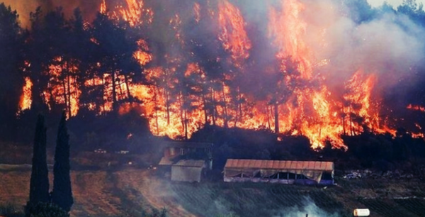 Los incendios en Italia ya dejaron cinco muertos y amenazan con llegar a sitios declarados patrimonio de la Unesco | .::Agencia IP::.