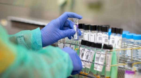 España aprueba ensayos clínicos en humanos de su primera vacuna contra el covid