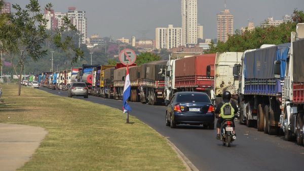 Sector avícola pide rápida solución a paro de camioneros ante perjuicios