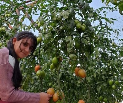 Una salsa de tomate con sabor a éxito