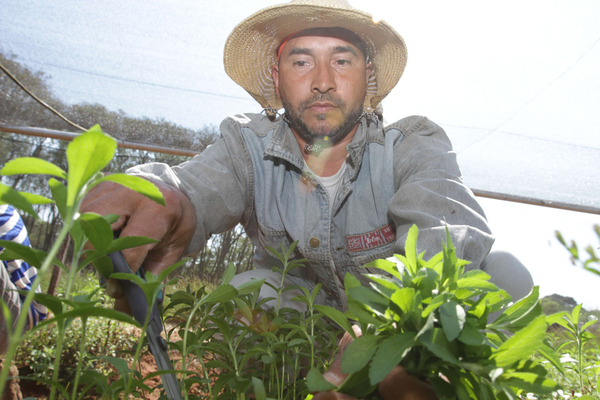 Agricultura familiar campesina se fortalece en Misiones con G. 13.500 millones invertidos por la EBY | .::Agencia IP::.