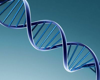 Un “viaje” por el ADN que puede “cambiar la vida” a los uruguayos - Ciencia - ABC Color