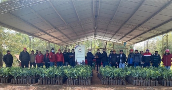 ENTREGAN UN TOTAL DE 3000 PLANTINES DE CÍTRICOS INJERTADOS EN CAMBYRETÁ Y NUEVA ALBORADA