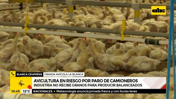 Avicultura en riesgo por paro de camioneros - A la gran 730 - ABC Color