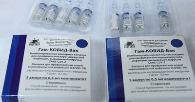 La Nación / Comenzó la distribución de vacunas Sputnik V producidas en Argentina