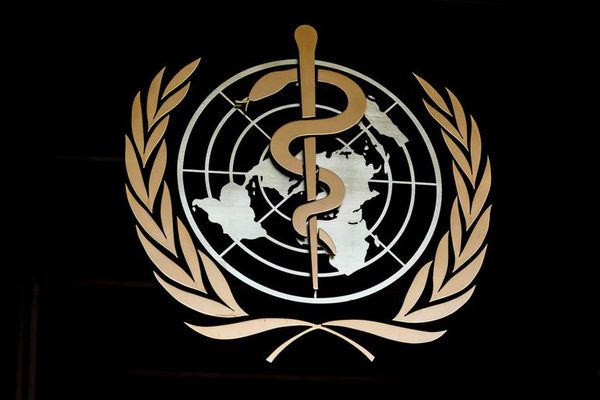 OMS pide no politizar búsqueda científica de orígenes del coronavirus - Mundo - ABC Color