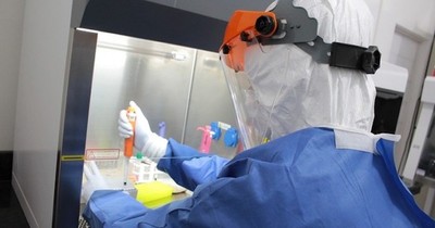 La Nación / OMS pide “todos los datos” para investigar hipótesis de fuga de laboratorio de coronavirus