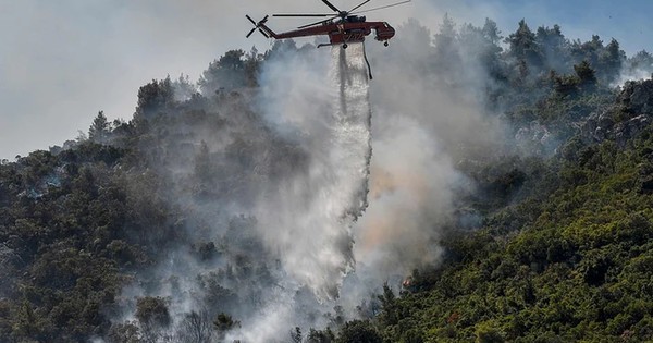 La Nación / Fuerza del fuego mengua en Grecia, tras arder 100.000 hectáreas en dos semanas