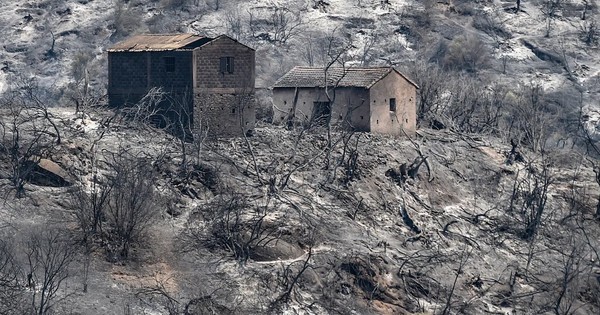 La Nación / Argelia, en duelo por 69 fallecidos, sigue luchando contra los incendios