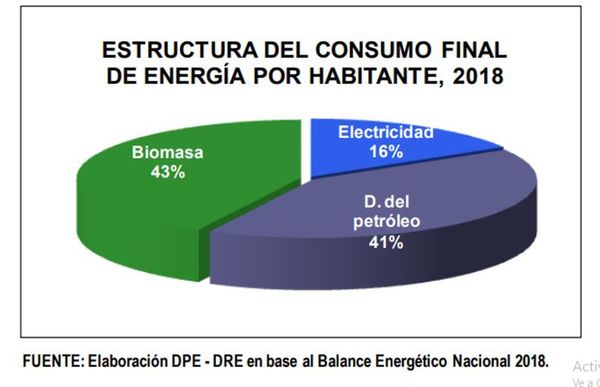 Para el 2025, el 100% de la biomasa que utilizan las industrias deberá estar certificada - Nacionales - ABC Color