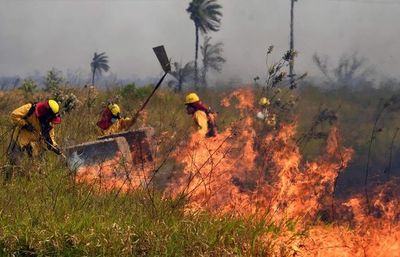 Región boliviana, en el límite con Paraguay, declara “alerta roja” por incendios forestales - Mundo - ABC Color