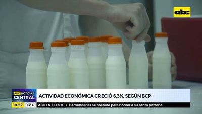 Actividad económica creció 6,3%, según BCP - ABC Noticias - ABC Color