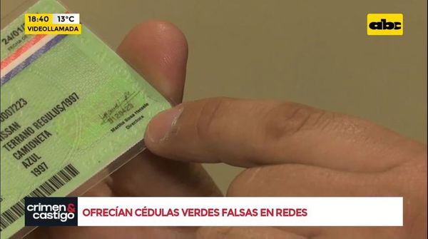 Ofrecían cédulas verdes en redes - Crimen y castigo - ABC Color