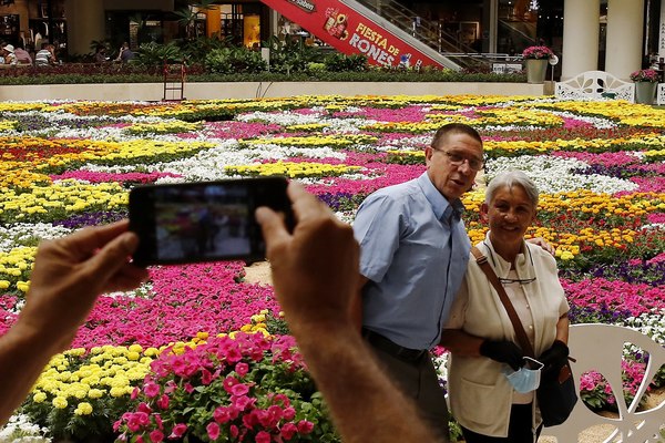 Medellín recibe su tradicional feria con un tapiz tejido con 181.000 flores - MarketData