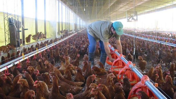 Paro camionero golpea a pequeños productores y a los consumidores