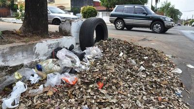 Aumentarán los casos de dengue a fines de octubre