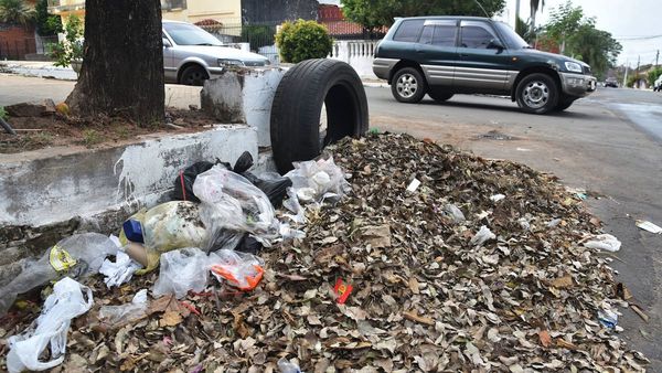 Aumentarán los casos de dengue a fines de octubre