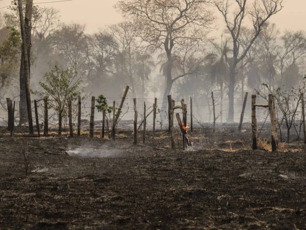 Exhortan a evitar quemas en zonas urbanas y rurales ante probabilidades de incendios