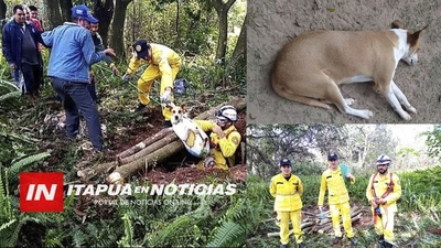 J. L. OVIEDO: BOMBEROS RESCATAN A UN PERRO QUE CAYÓ EN UN PROFUNDO POZO