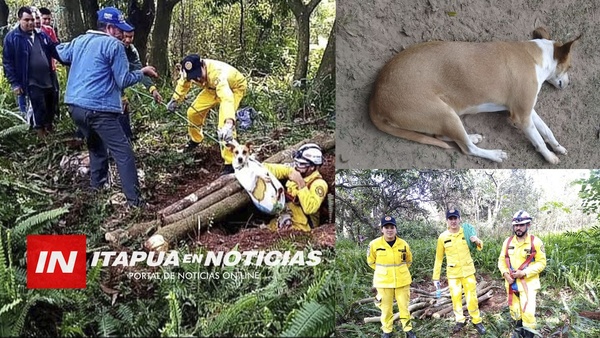 J. L. OVIEDO: BOMBEROS RESCATAN A UN PERRO QUE CAYÓ EN UN PROFUNDO POZO