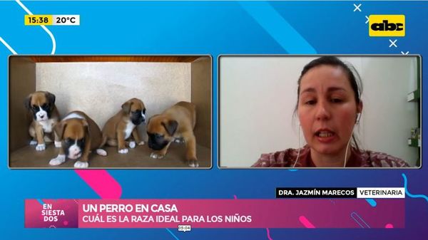 Un perro en la casa, cuál es la raza ideal para los niños - Ensiestados - ABC Color