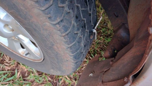 Neumático de una patrullera queda dañado tras pisar clavo miguelito