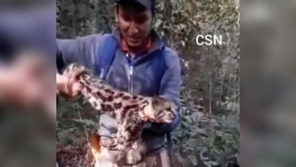 Mató un yaguarete'i y lo publicó en sus redes sociales
