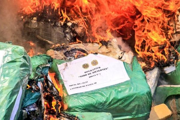 Senad incineró más de una tonelada de drogas incautadas en dos operativos