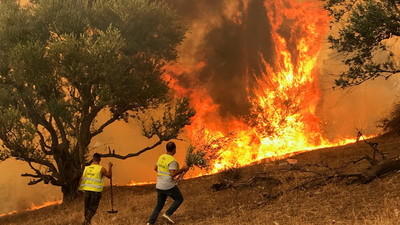 Arrestan a 22 personas en relación con los masivos incendios en Argelia | Ñanduti