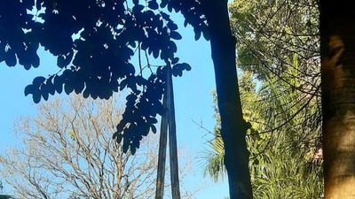 Ofrecen escultura de Guggiari   para cubrir deuda municipal