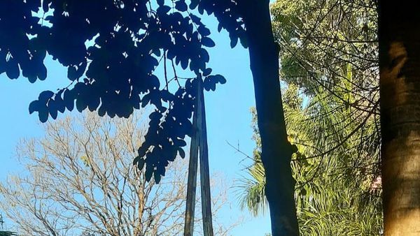 Ofrecen escultura de Guggiari para cubrir deuda municipal